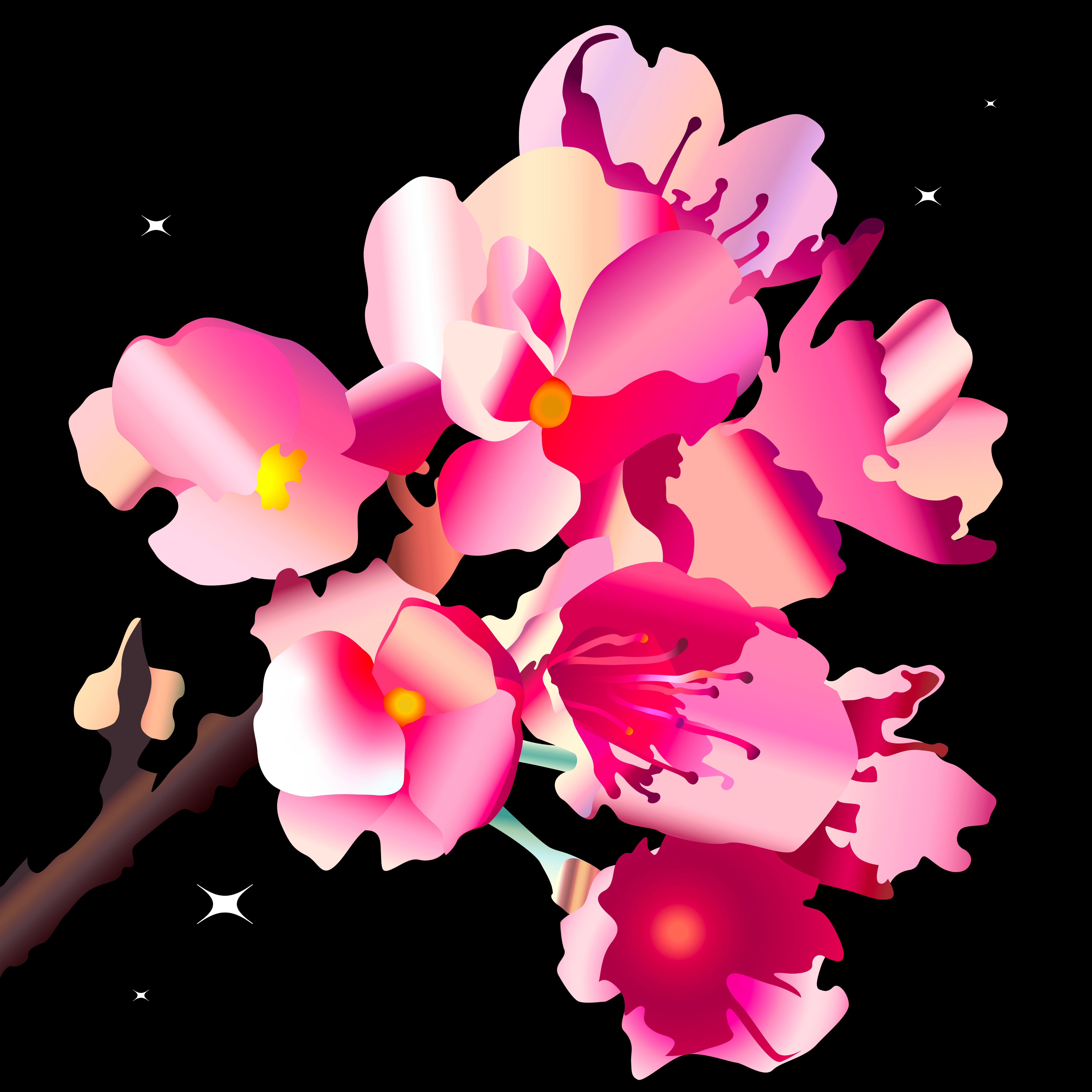 sakura