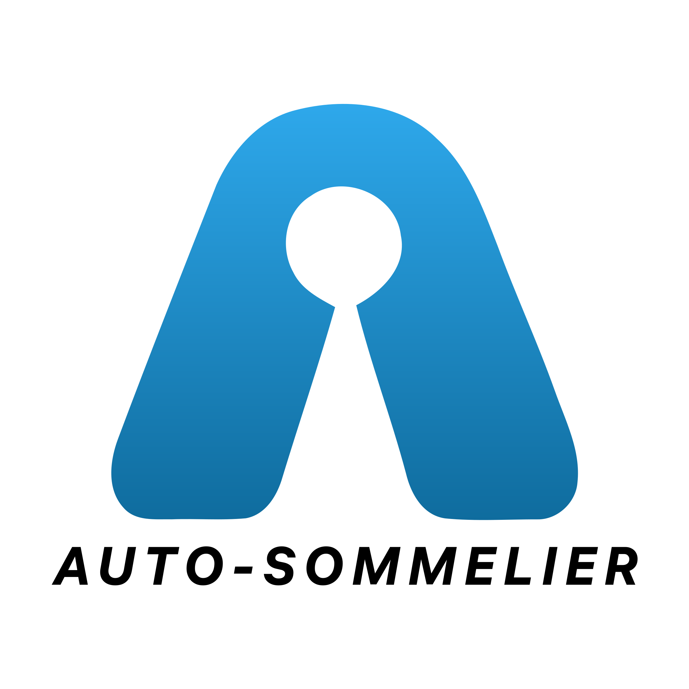 Логотип компании Auto-sommelier